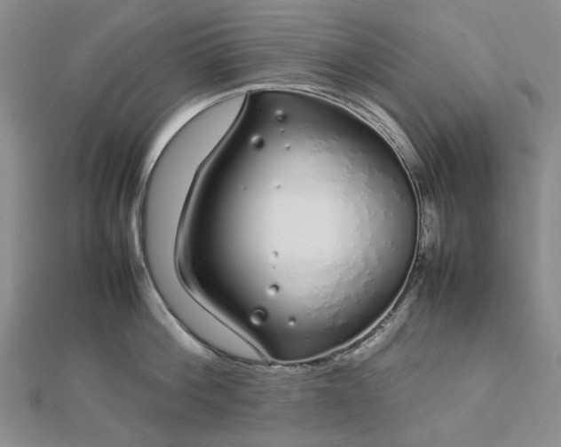 X0000112750812200909031525