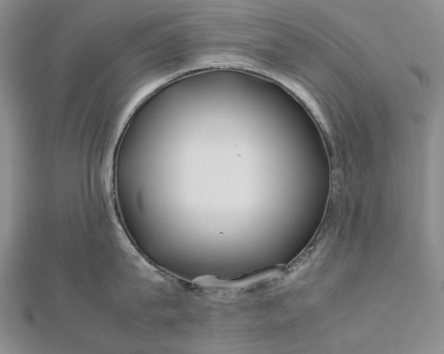 X0000112750815200909031525