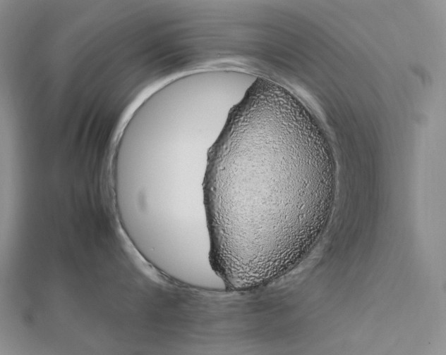 X0000112750816200909031525