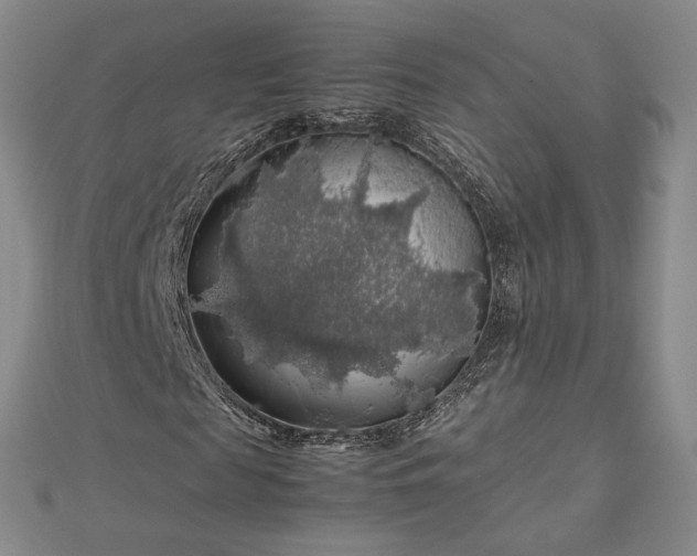 X0000112750817200909031524