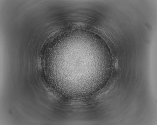 X0000112750819200909031524