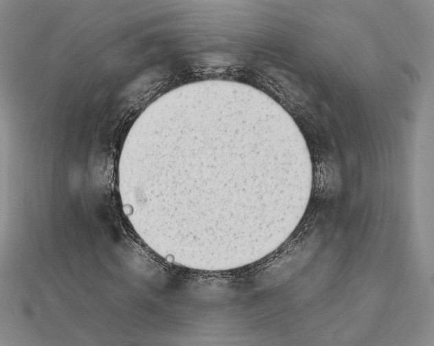 X0000112750820200909031524