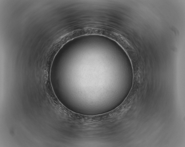 X0000112750821200909031524