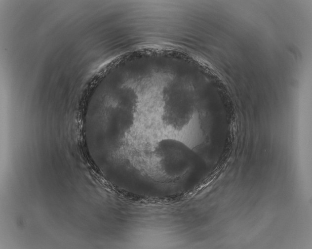 X0000112750822200909031524