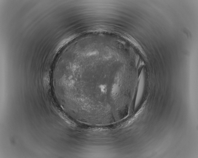 X0000112750826200909031524