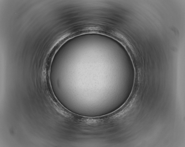 X0000112750827200909031525