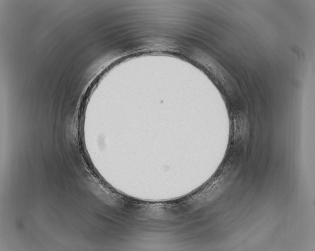 X0000112750828200909031525