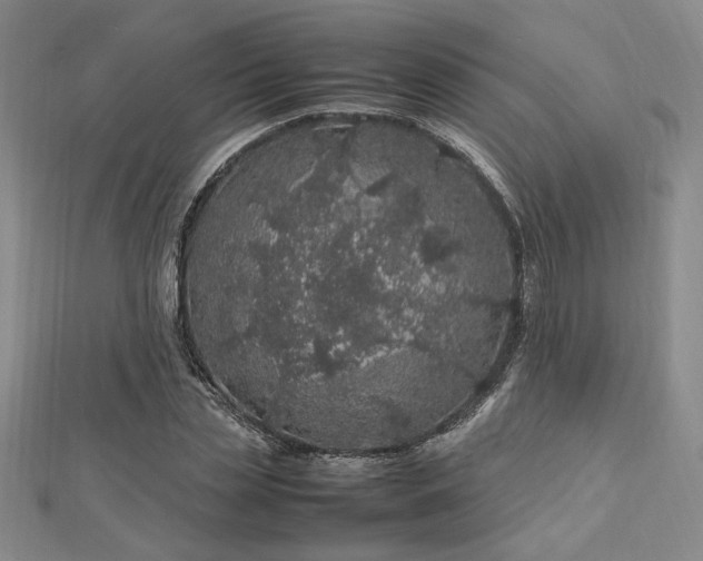 X0000112750829200909031525