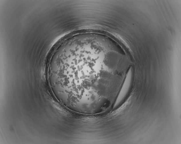 X0000112750830200909031525