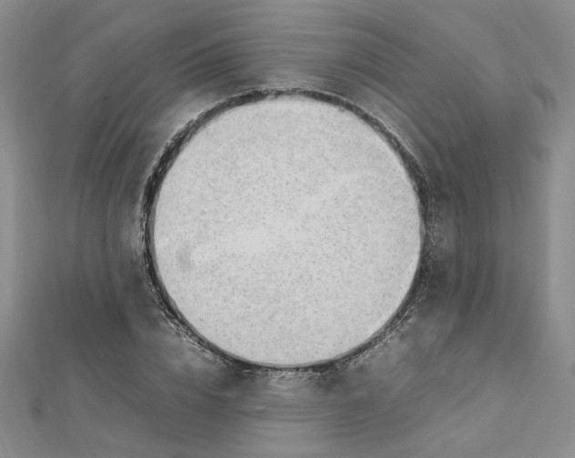 X0000112750832200909031525