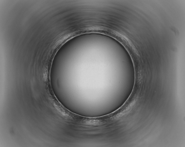 X0000112750833200909031525