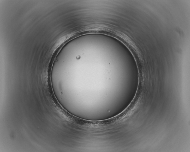 X0000112750834200909031525