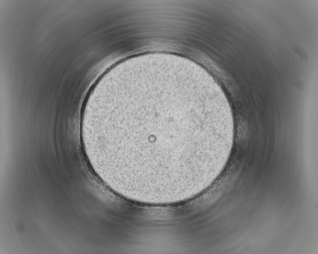 X0000112750836200909031525