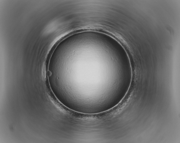 X0000112750838200909031525