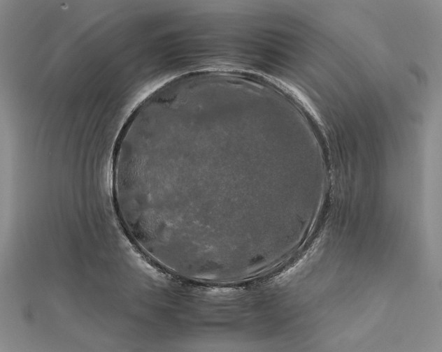 X0000112750839200909031525