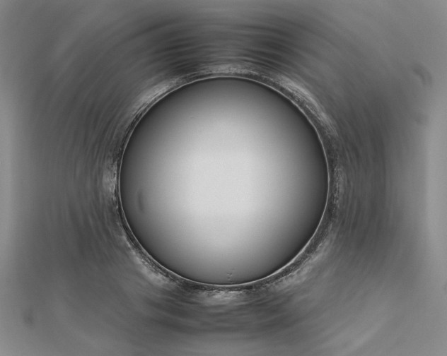 X0000112750841200909031525