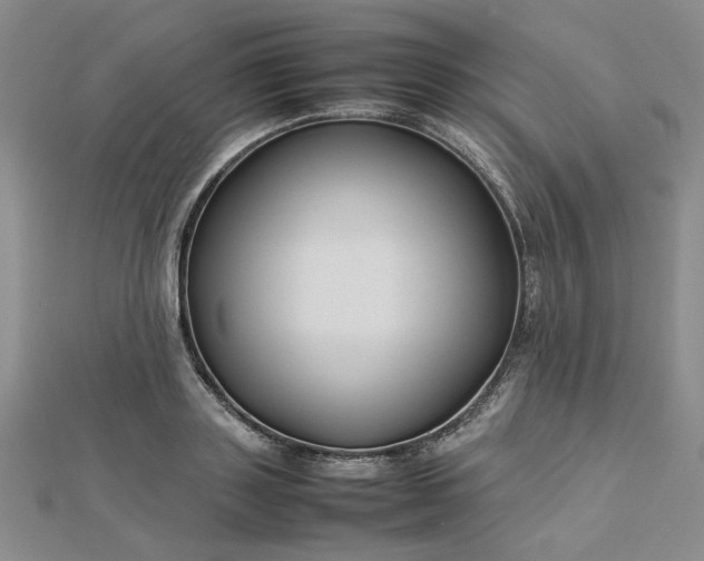 X0000112750843200909031525