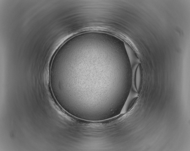 X0000112750844200909031525