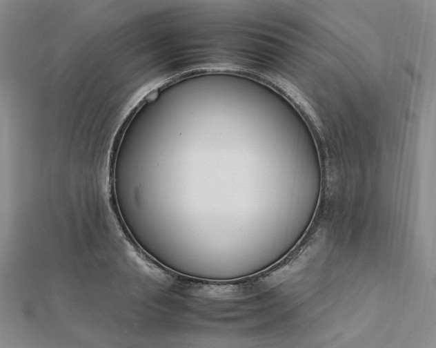 X0000112750845200909031525