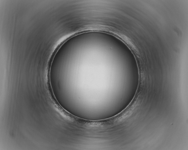 X0000112750846200909031525