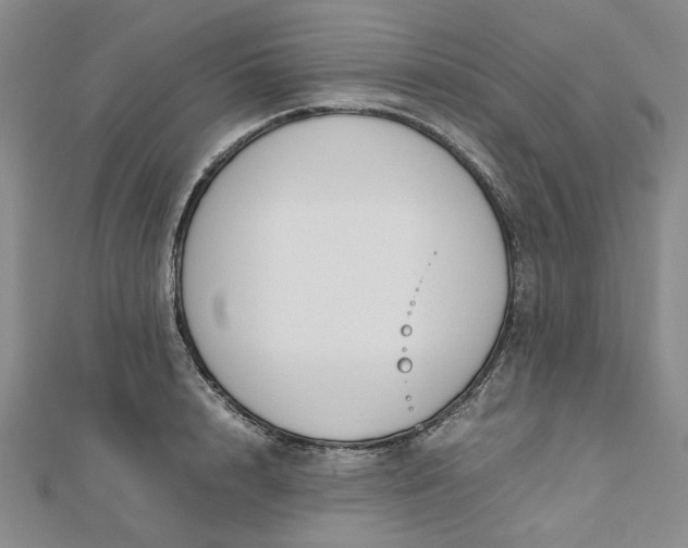 X0000112750848200909031525