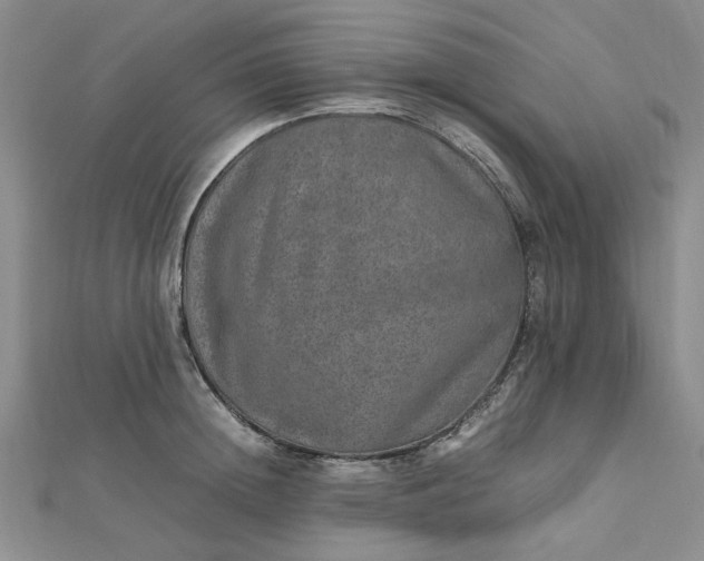 X0000112750852200909031525