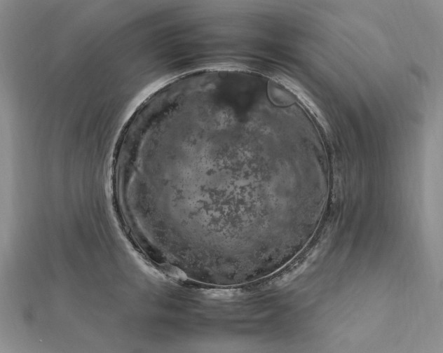 X0000112750853200909031525