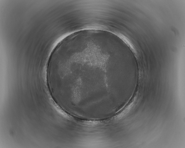 X0000112750854200909031525