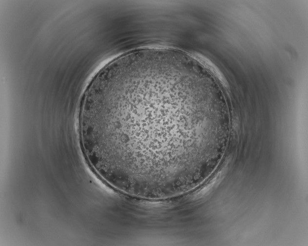 X0000112750855200909031525