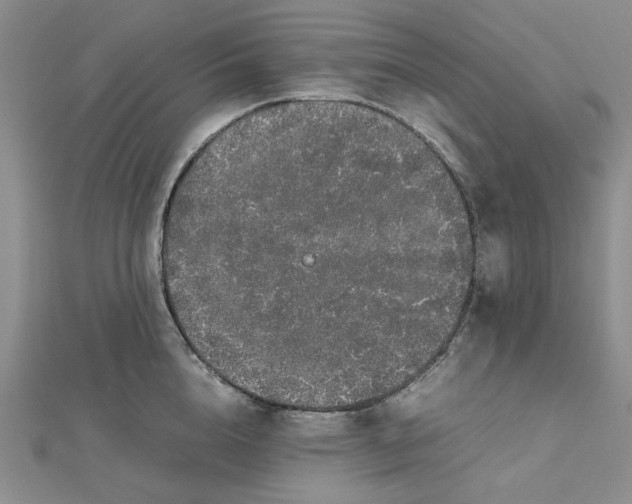 X0000112750856200909031525