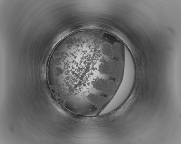 X0000112750858200909031525