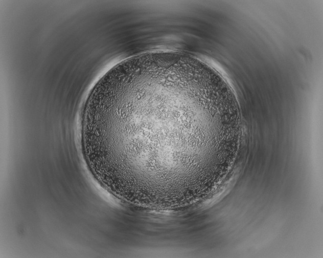 X0000112750859200909031525