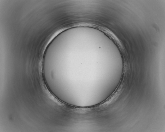 X0000112750860200909031525