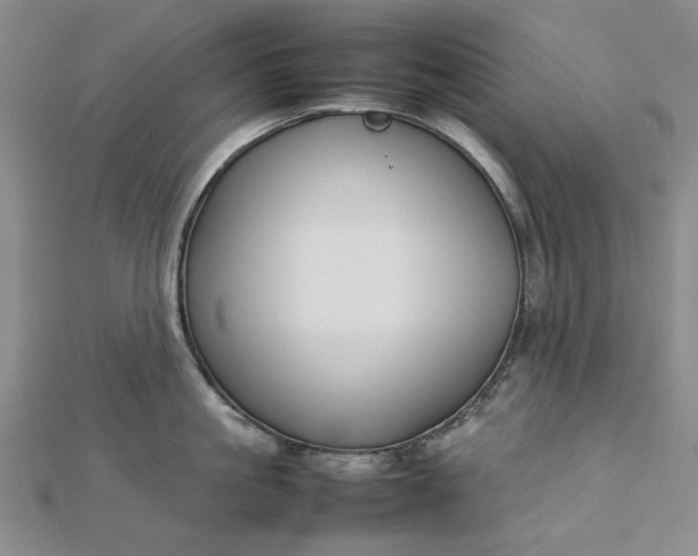 X0000112750861200909031525