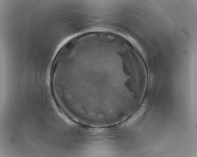 X0000112750862200909031525