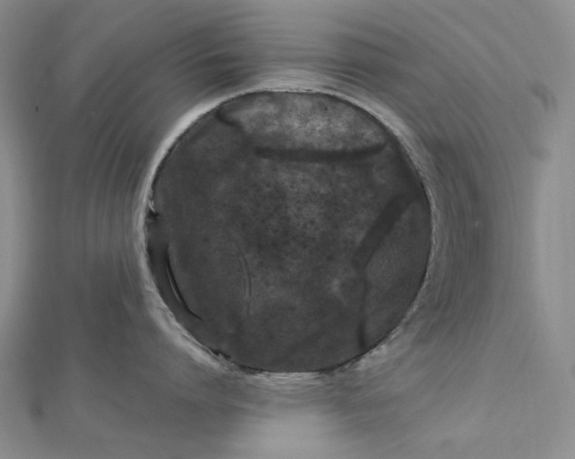 X0000112750864200909031525