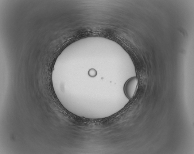 X0000112750865200909031524