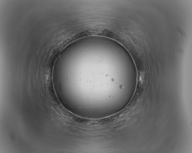 X0000112750867200909031524