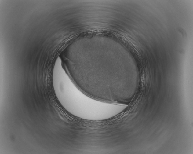 X0000112750868200909031524