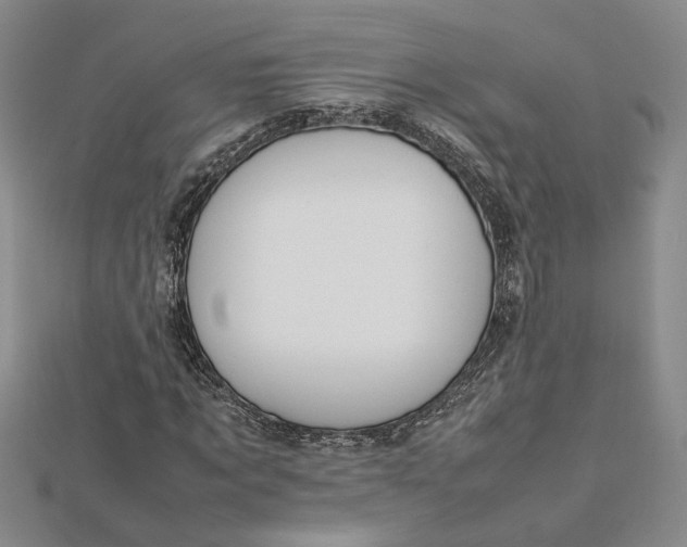 X0000112750869200909031524