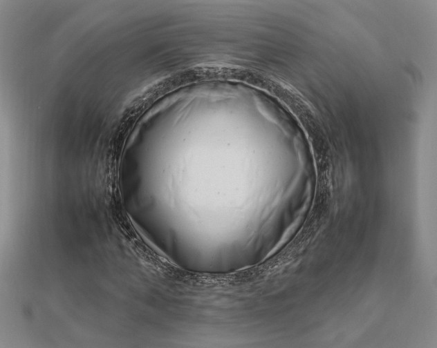 X0000112750870200909031524