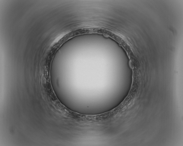 X0000112750871200909031524