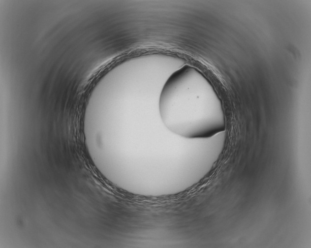 X0000112750872200909031524