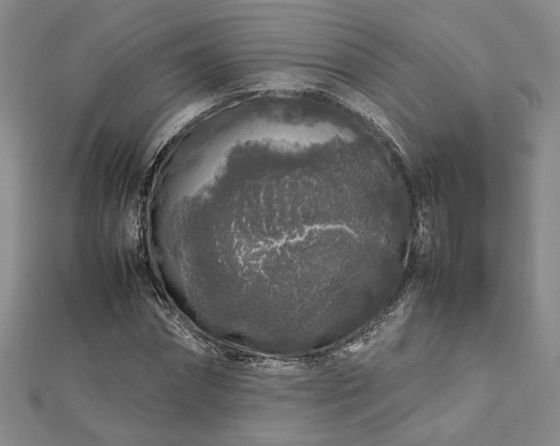 X0000112750874200909031524