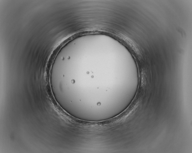 X0000112750876200909031524