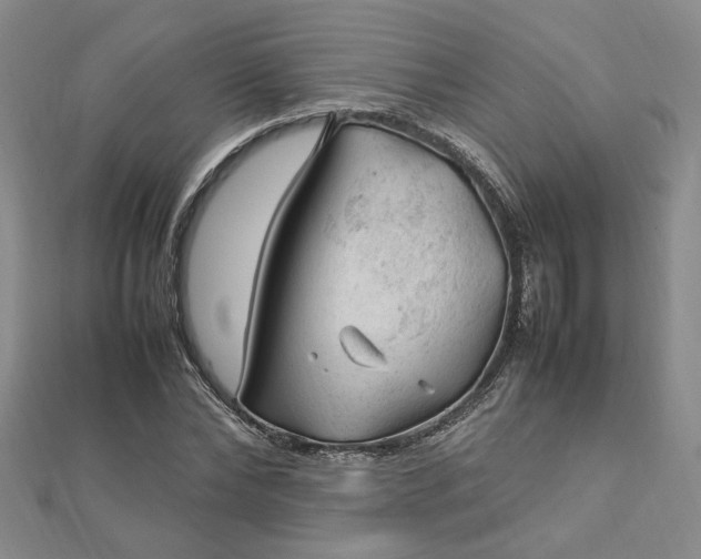 X0000112750878200909031524