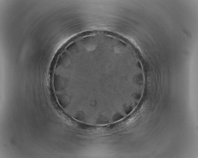 X0000112750879200909031524