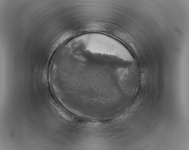 X0000112750882200909031524