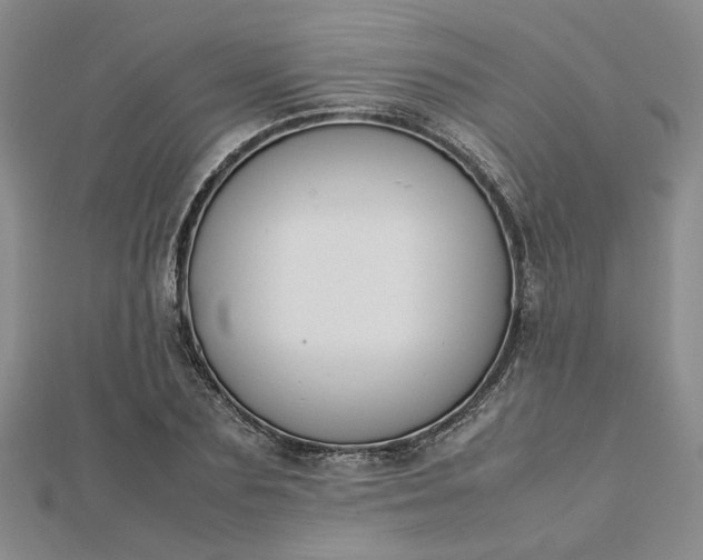 X0000112750883200909031524