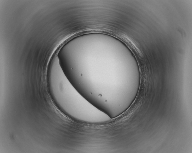 X0000112750884200909031524